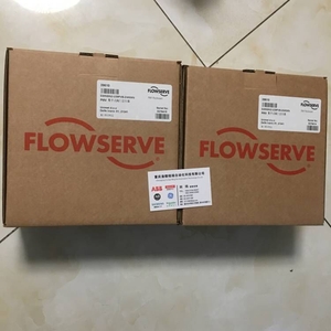 FLOWSERVE 520MD-47-W1D200-GM3-1100